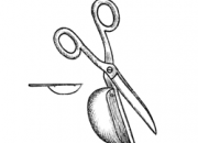 Ilustrácia - Rovné nožnice so zásobníkom