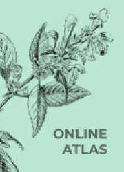 ilustračný obrázok - Online Atlas liečivých rastlín + online metodická príručka pre učiteľov